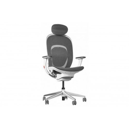Кресло компьютерное Xiaomi Mijia Ergonomics Chair RTGXY01YM (черный)