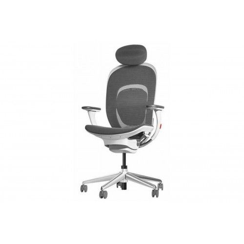 Кресло компьютерное Xiaomi Mijia Ergonomics Chair RTGXY01YM (черный)