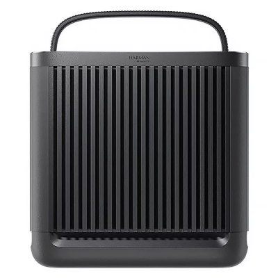 Колонка Xiaomi Outdoor Bluetooth Speaker Camp 40Вт ASM06A (черный)