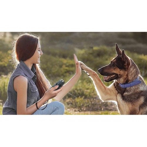 Отпугиватель собак ультразвуковой Xiaomi Rojeco U20 Ultrasonic Dog Repeller Dual Probe LED (серый)
