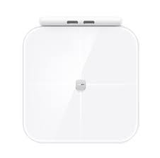 Весы Mijia Smart Scale S800 белый (MJTZC04YM)