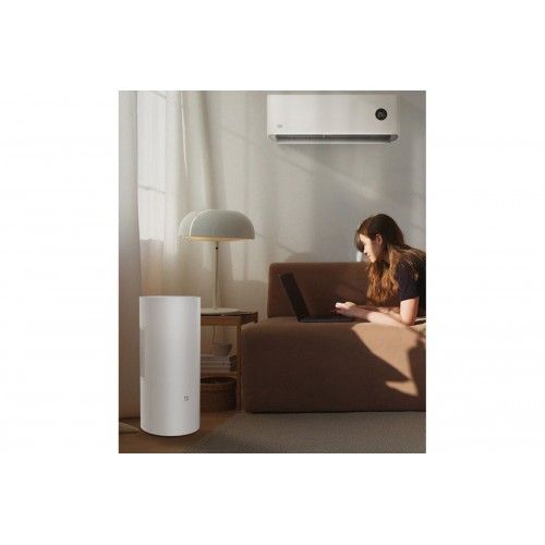 Умный осушитель воздуха Xiaomi Mijia Smart Dehumidifier 22L (CSJ0122DM) (CN), белый